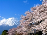 10 địa điểm du lịch đáng đến tại Nhật Bản