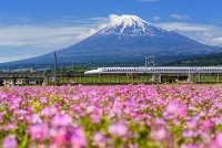 Tàu siêu tốc Shinkansen - Bullet Train