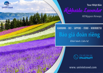 TOUR NHẬT BẢN - HOKKAIDO LAVENDER