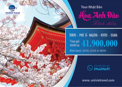 TOUR NHẬT BẢN HOA ANH ĐÀO ĐỈNH ĐIỂM