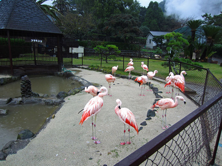 beppu dia nguc onsen nhat ban