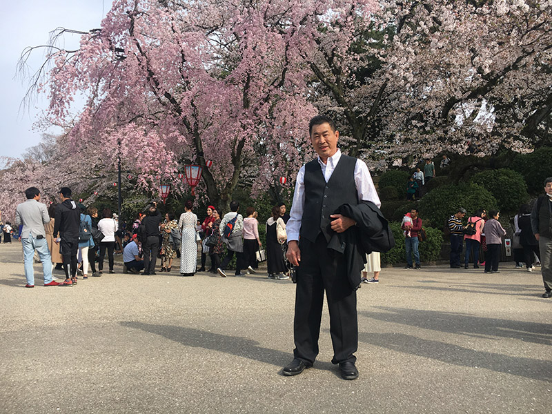 Khách chụp ảnh cùng hoa anh đào tại lâu đài Nagoya