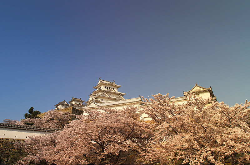 Tại lâu đài Himeji - lâu đài Hạc Trắng