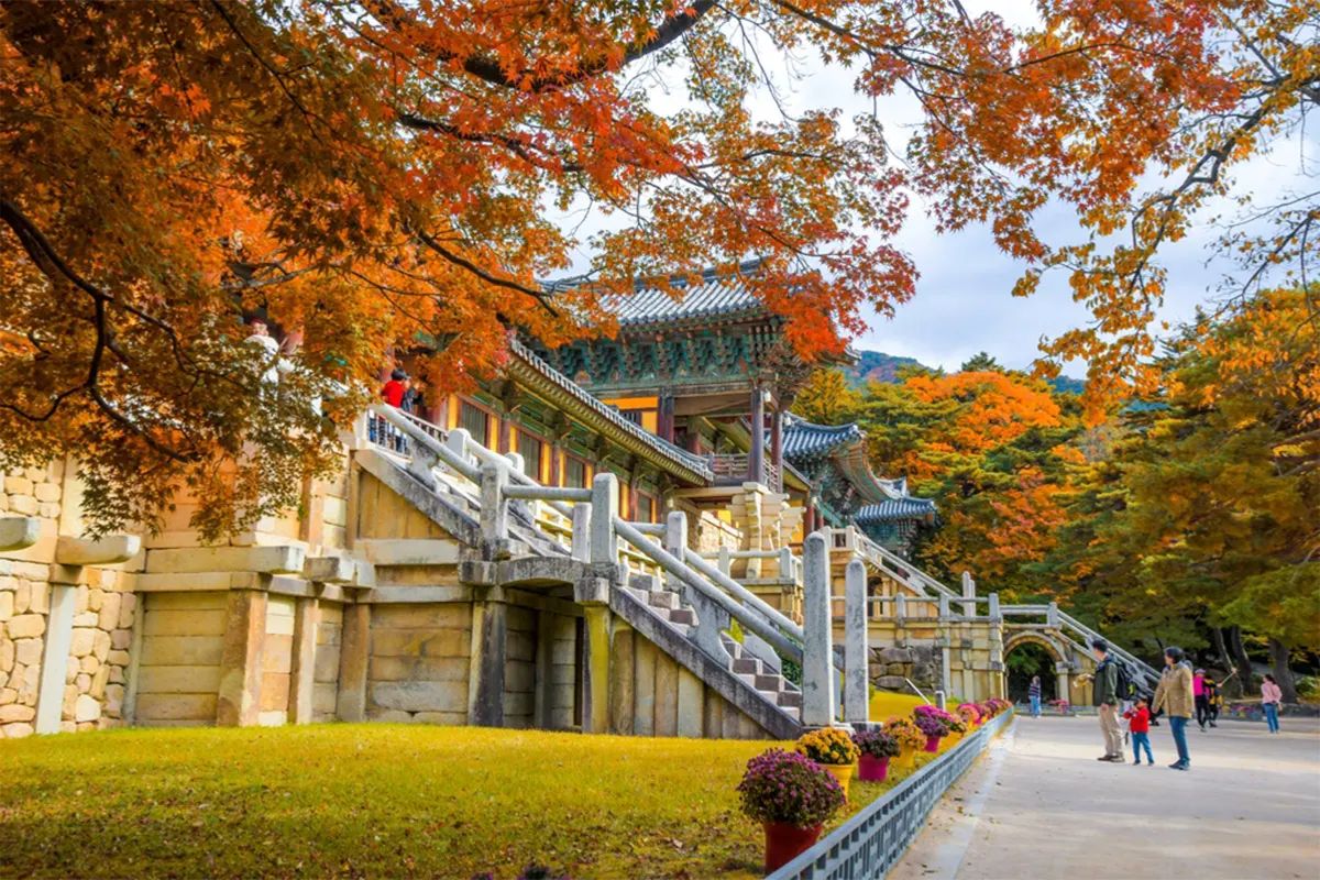 TOUR MÙA THU HÀN QUỐC BUSAN - GYEONGJU - ULSAN - SEOUL 6N5D
