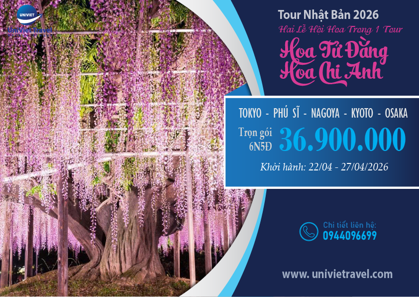 TOUR NHẬT BẢN MÙA HOA TỬ ĐẰNG - HOA CHI ANH