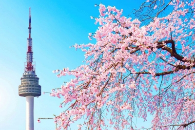 TOUR MÙA XUÂN HÀN QUỐC SEOUL - NAMI - EVERLAND 5N4D